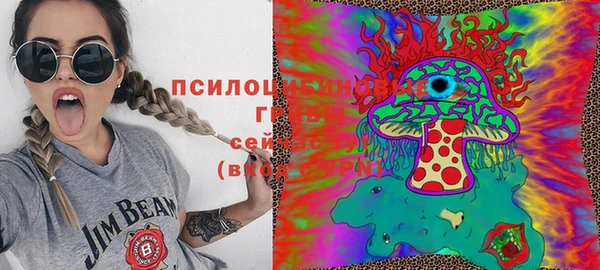 спайс Вязьма