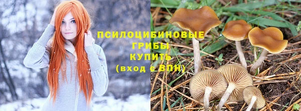 прущие крисы Вяземский