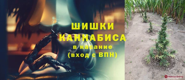 прущие крисы Вяземский